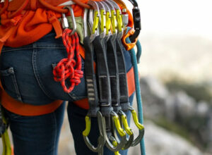 Sports Straps & Webbing
