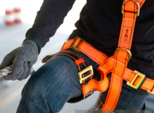 Straps – Harnesses