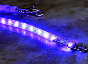 LED webbing for fashion